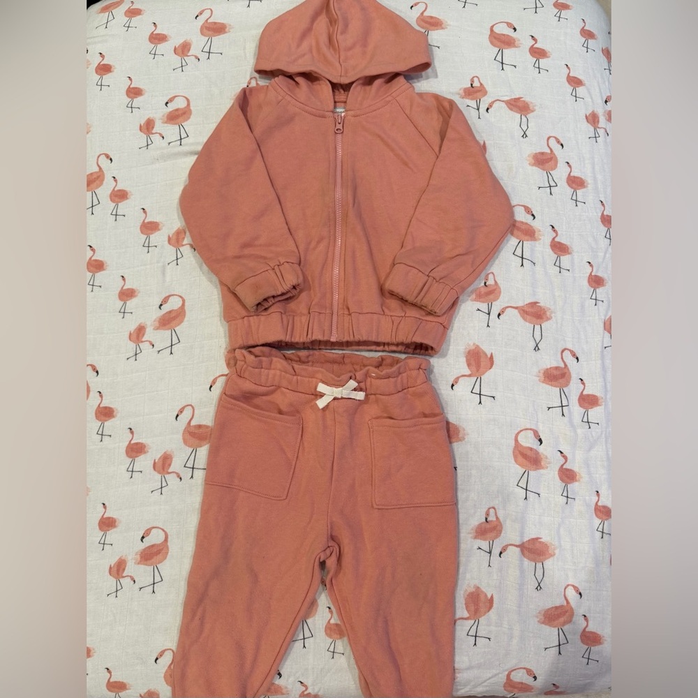 Garanimals - Pink Hoodie and Jogger Set